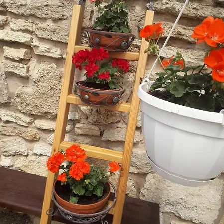 Maison d'hôtes U Johna 3*