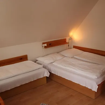 Guest house U Johna 3*