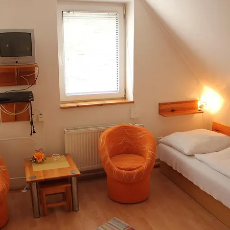 Guest house U Johna 3*